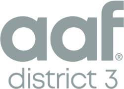 AAF District 3 grey logo